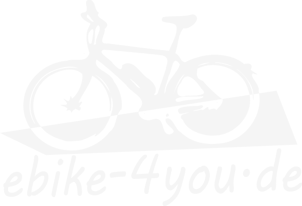 meta bike